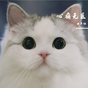 心痛无医（翻自 光泽）