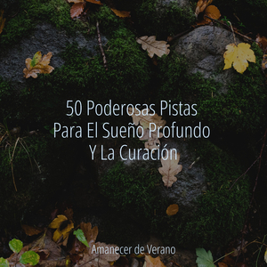 Vals de Ala Silenciosa