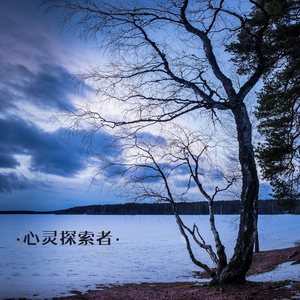 禅意魔法 (手碟)
