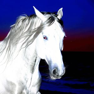 Horse Memphis Type Beat Slow