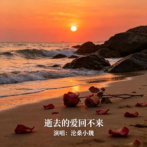 逝去的爱回不来