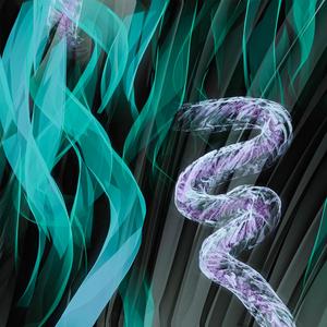 Chambers: Dream Collection