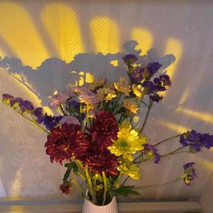 月上的枯萎的花