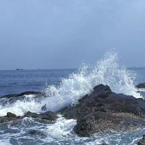 流浪(Stray)（女声版）