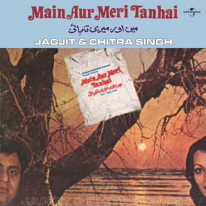 Baad Muddat Unhain (Main Aur Meri Tanhai / Soundtrack Version)