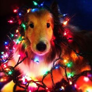 Mrs. Officer (slowed)