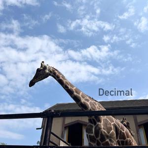 Decimal
