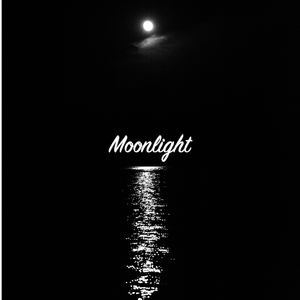 月光（Prod by FaunmU)