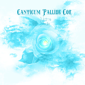 Canticum Pallide Cor