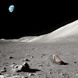 sonder kinda has me terrified (feat. Nezzo)