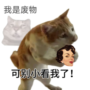 冬季单身一辈子