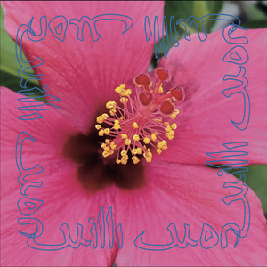 Zuhur