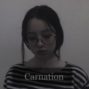 Carnation