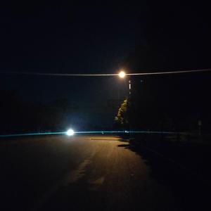 真希望你不懂事