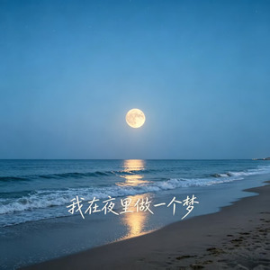 我在夜里做一个梦
