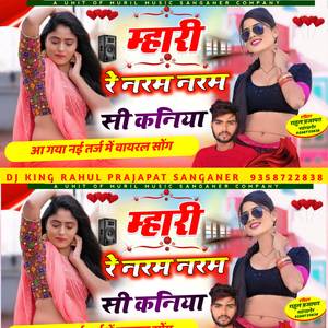 म्हारी रे नरम नरम सी कनिया