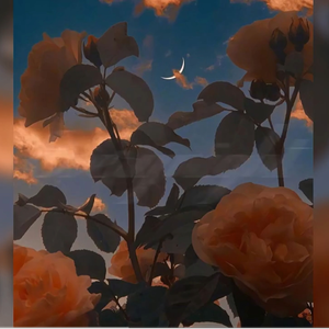 【FREE】Guitar X EMO type beat “Everynight”