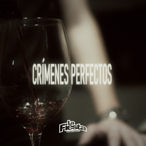 Crimenes Perfectos