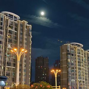 你那离别的身影