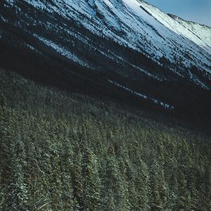 漂浮在旧时光里（1）