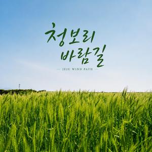 청보리 바람길