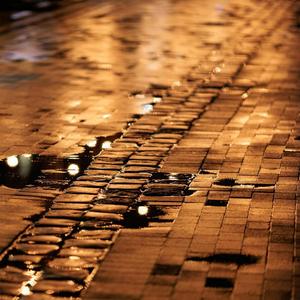 頑張りすぎたんだよ