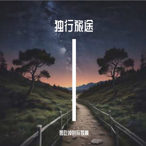独行旅途