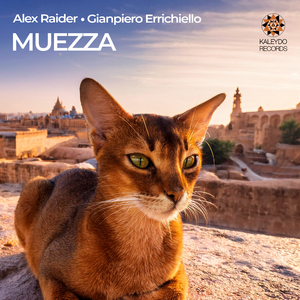 Muezza (Radio Mix)
