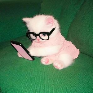 我们永远明媚（氛围感纯音乐）