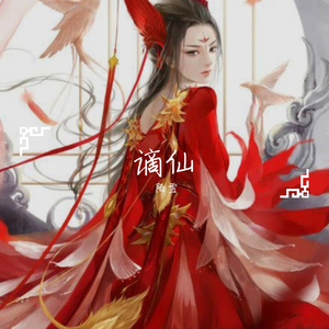 谪仙 (抖音DJ版)（翻自 叶里）