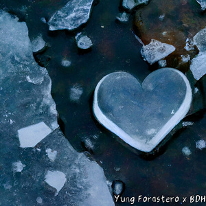 Corazón Invernal