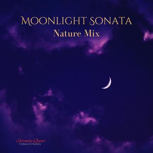 Moonlight Sonata (Ocean Mix)