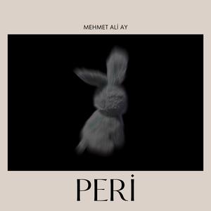 Peri