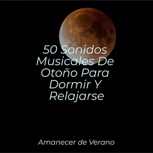 Sueño Somnoliento Deriva