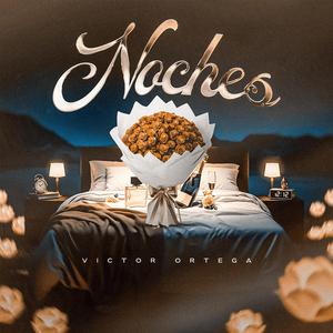 Noches