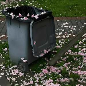 no money（Prod by FreezyKidd）