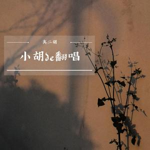 夏日美梦（翻自 BlackDD）