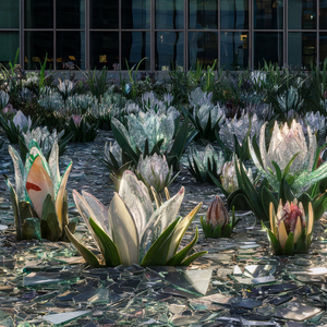 Midnight Sonata: Velvet Nights Symphony