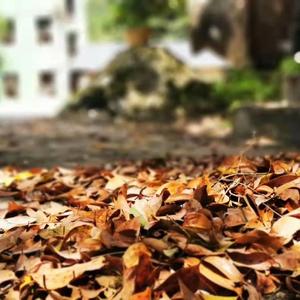 我们的车停在小溪