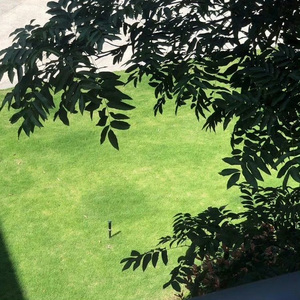 永无尽头的约会