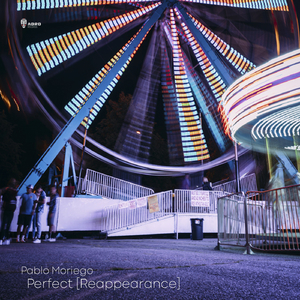 Perfect (Reappearance)