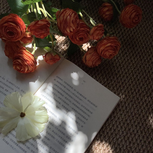 时间会惩罚每一个不爱记录的人