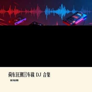 荷东狂潮・车载 DJ 合集①