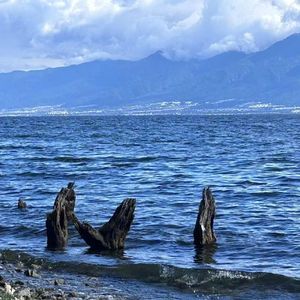 幸福快快降临我手心