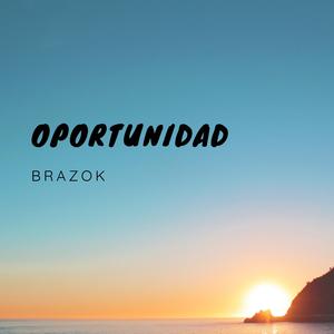 Oportunidad