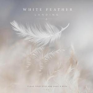 White Feather Landing