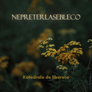 Nur rigardu la arbojn kaj foliojn fali