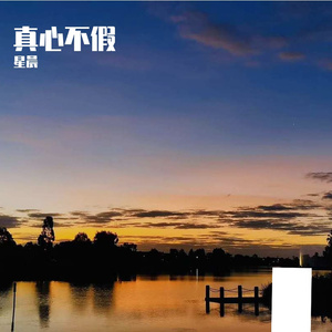 真心不假