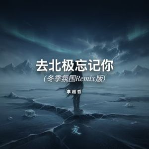 去北极忘记你(冬季氛围版Remix)