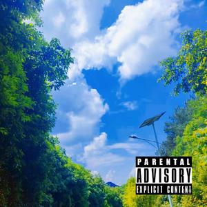 重庆医科大学cypher part3